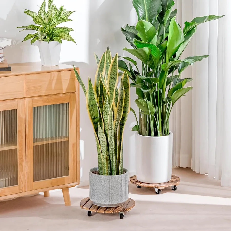 Base rodante para plantas - 2 pack