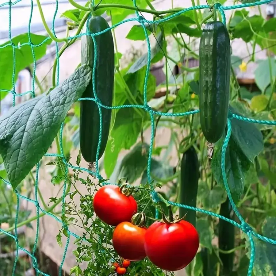 Red de enrejado para plantas
