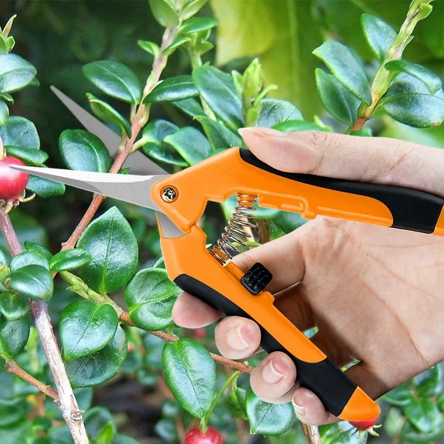 Tijeras para jardineria
